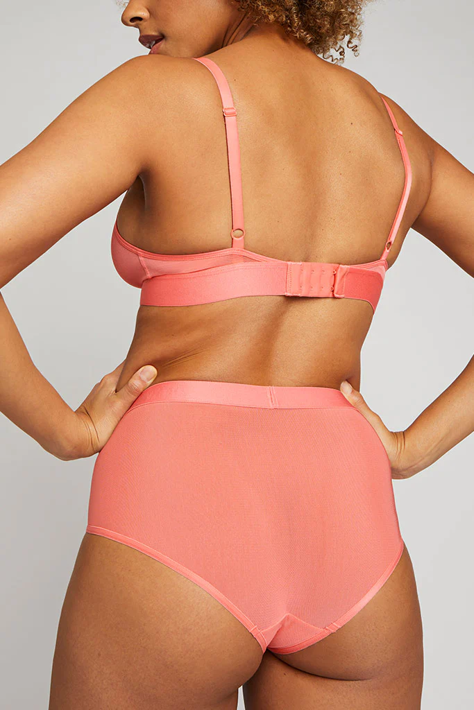 Sieve High-Waist Brief in Coral - Image 2